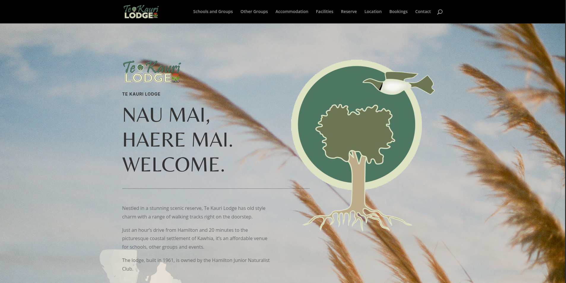 clients-tekauriLL72K1td1772767944